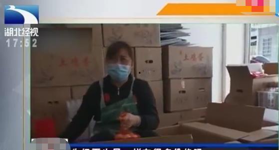 鸡场老板爆料事件视频完整版,揭秘养殖行业黑幕，完整版视频曝光惊人内幕  第1张