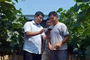 焦作大爷最新爆料,最新爆料背后的惊人真相  第1张